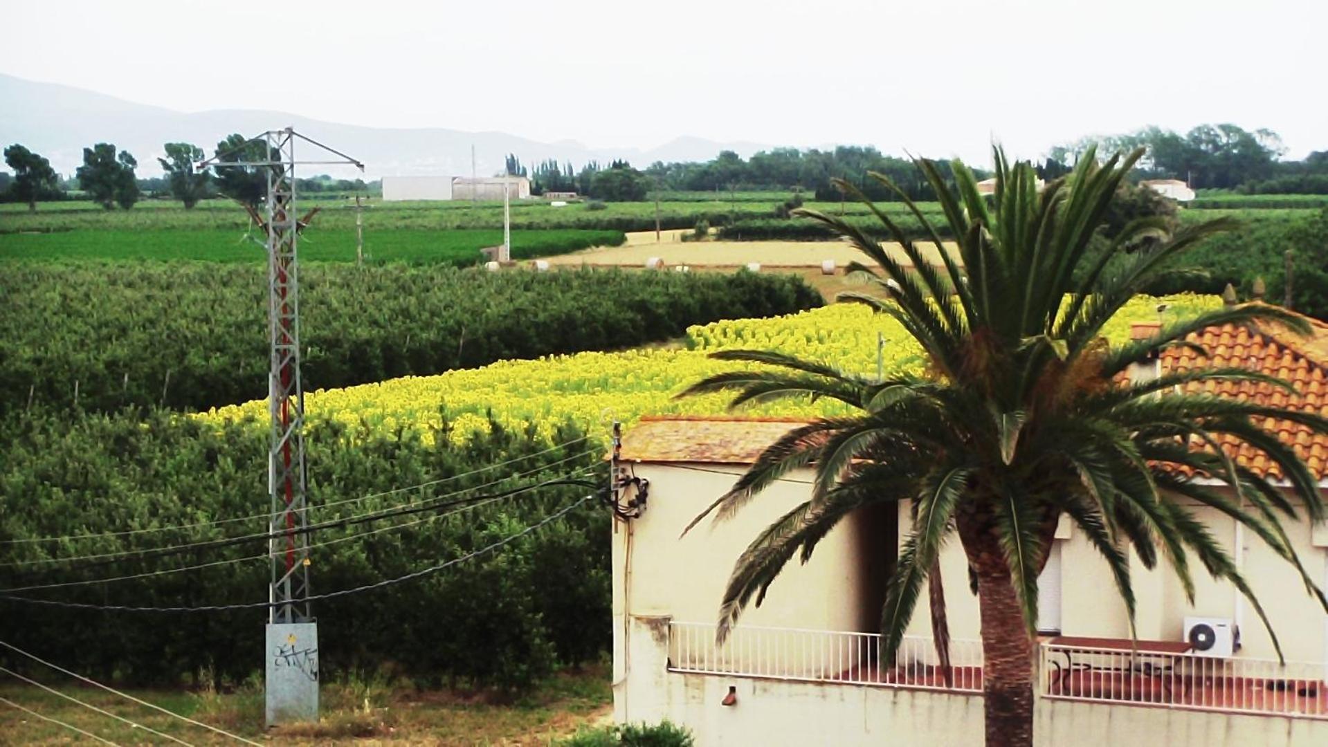 La Masia Sant Pere Pescador Luaran gambar